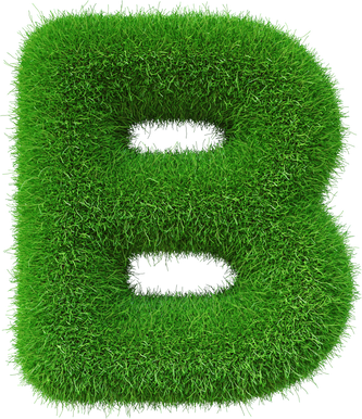 Grass font B letter Green