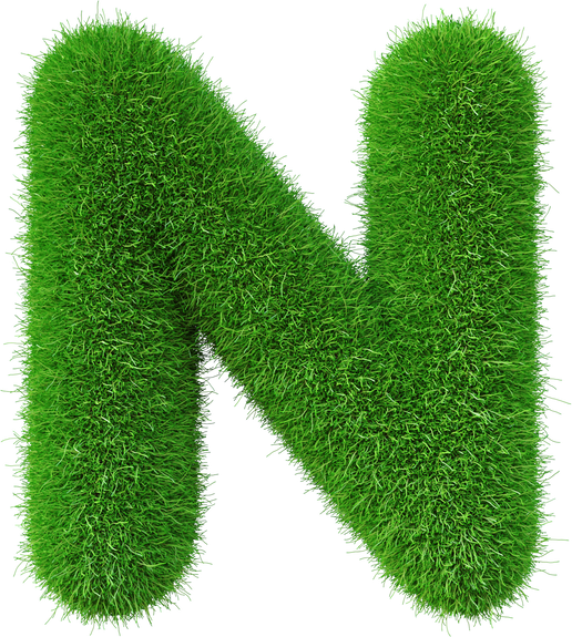 Grass font N letter Green