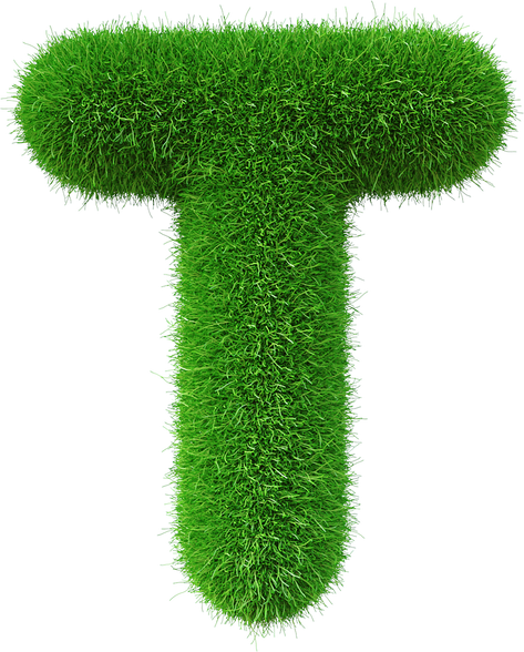 Grass font T letter Green
